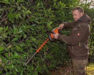 Hecke schneiden